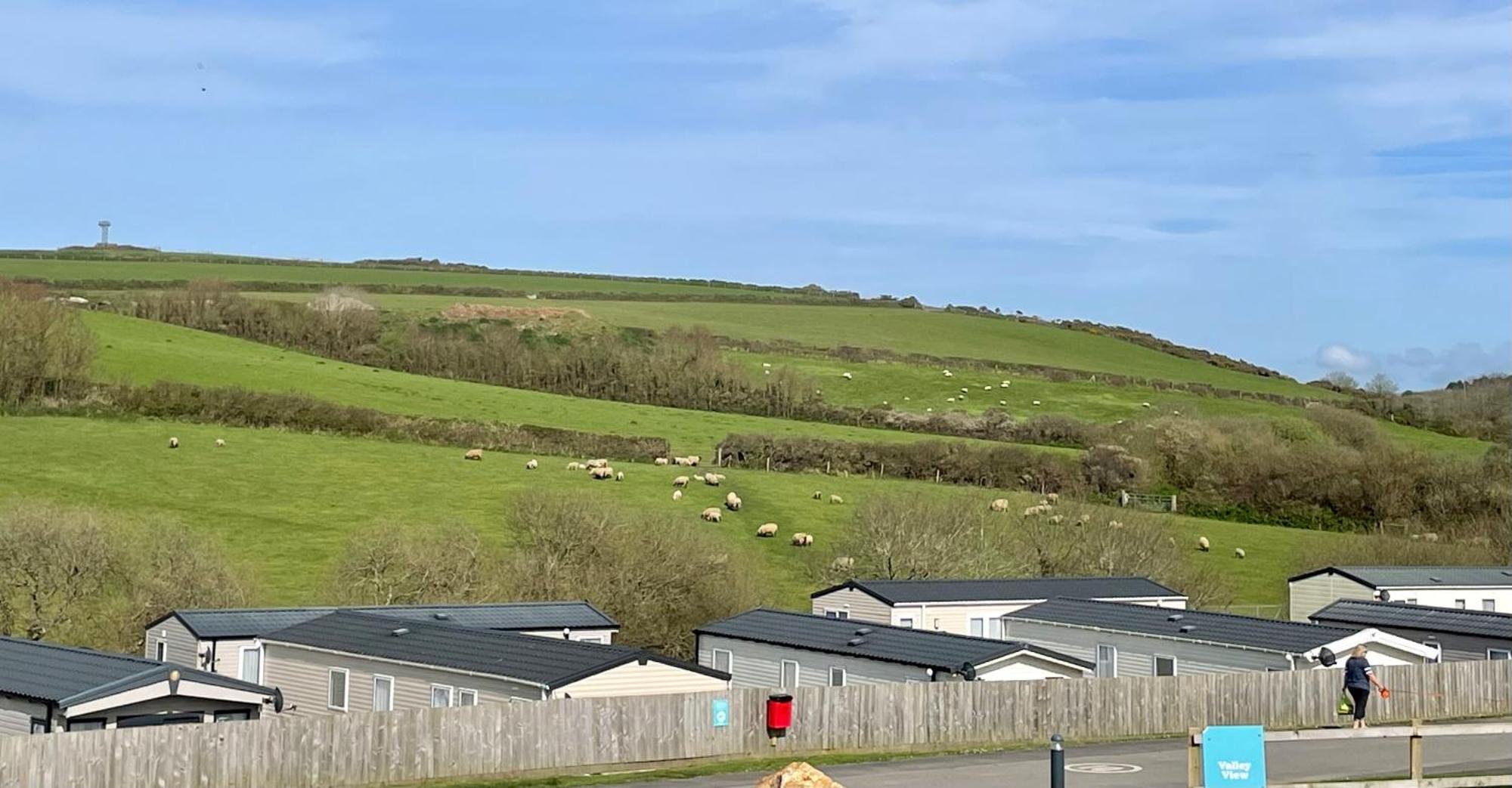Newquay Bay Resort Sandy Toes - Pet Friendly Exterior photo